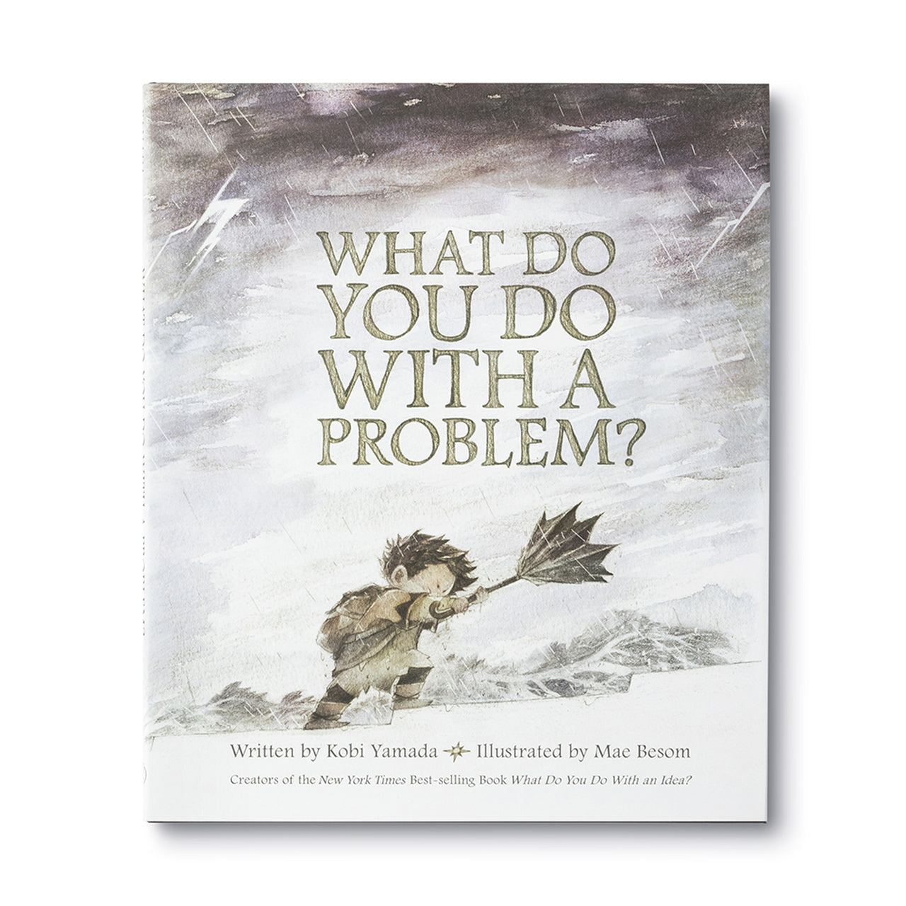 What Do You Do With a Problem by Kobi Yamada